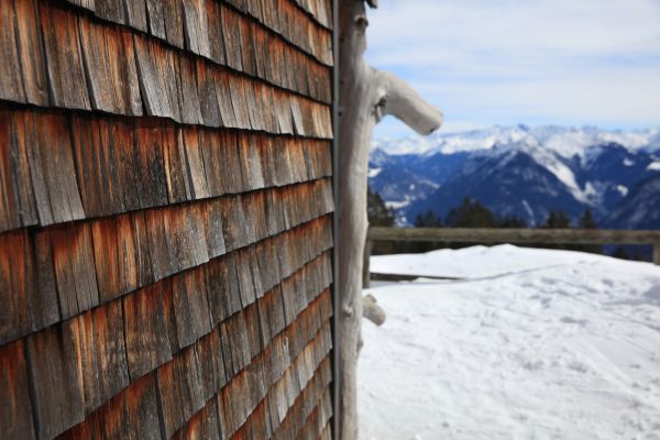 Cedar Siding Repair in Sparks