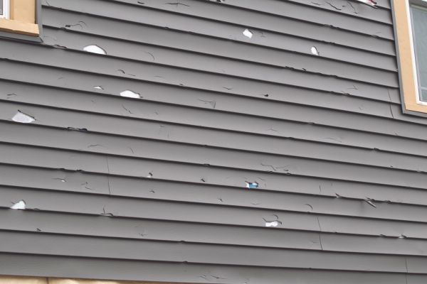Damaged Siding Replacement in Sparks