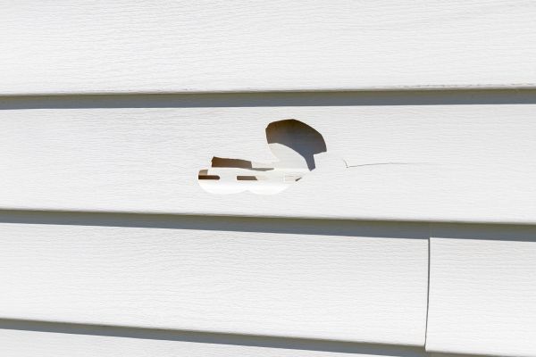 Cost of White Vinyl Siding Repair in Sparks