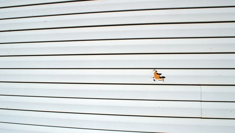 Insurance-Approved Contractors